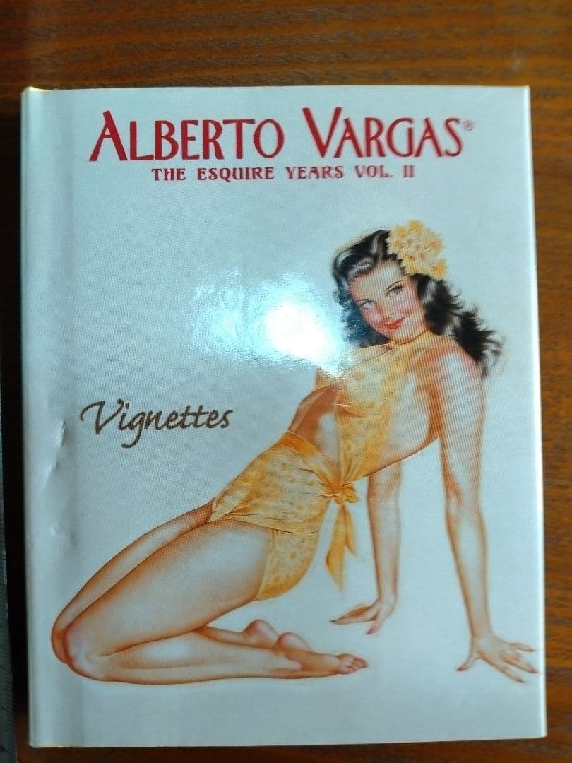 AMERICAN FLIGHT JACKETS フライトジャケットバーガス