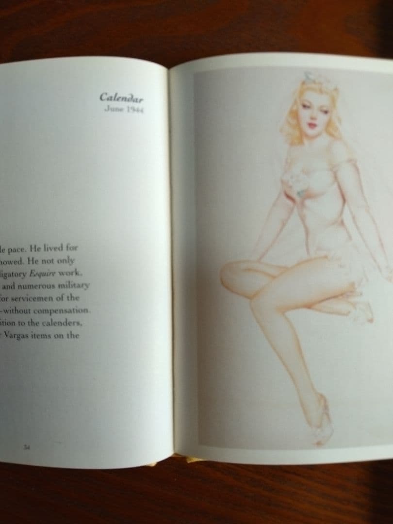 AMERICAN FLIGHT JACKETS フライトジャケットバーガス