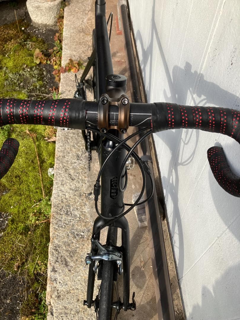 Tern SURGE 52サイズ　10速カスタム　JR大津駅手渡し限定