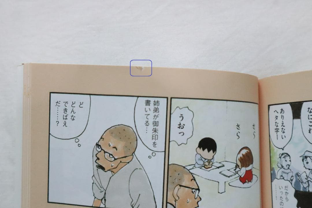 総天然色 バカ姉弟 全5巻 安達哲著　／全巻セット