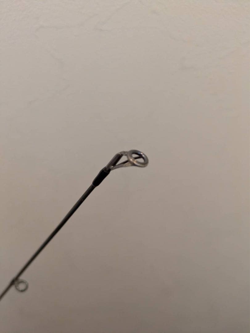 アブガルシア ソルティーステージ プロトタイプ シーバス