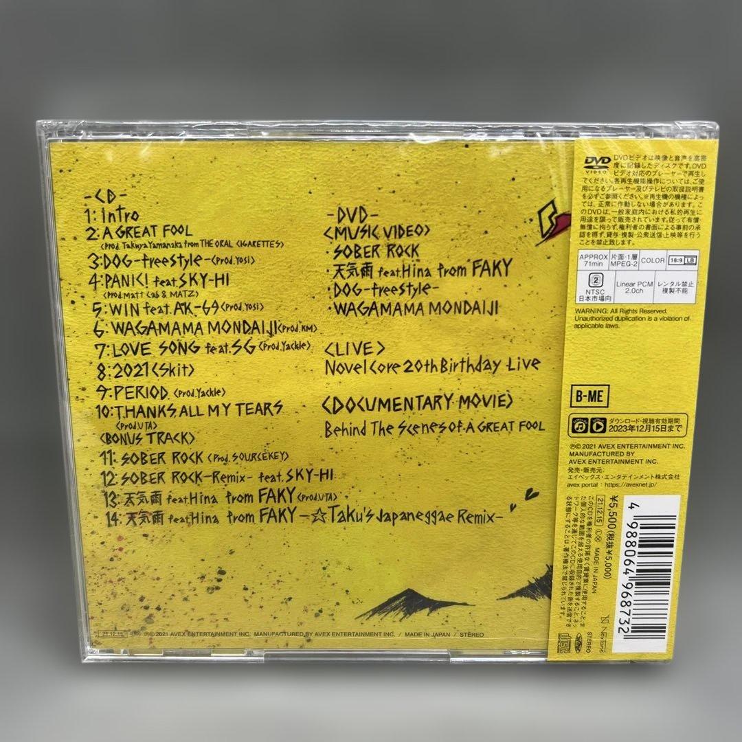 Novel Core A GREAT FOOL BMSG限定盤 CD＋DVD