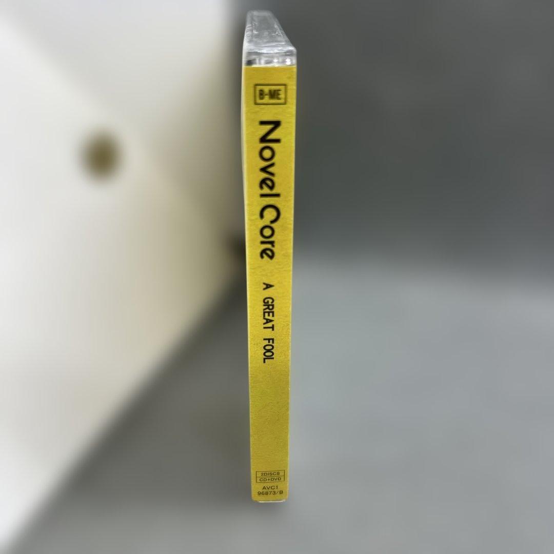 Novel Core A GREAT FOOL BMSG限定盤 CD＋DVD