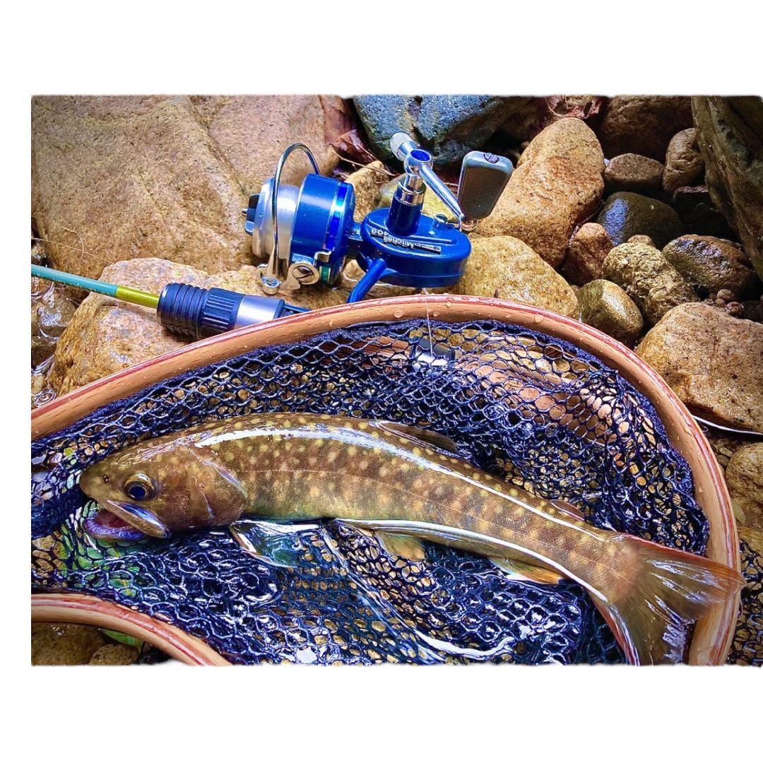 ガルシア ミッチェル409（Garcia Michell 409)