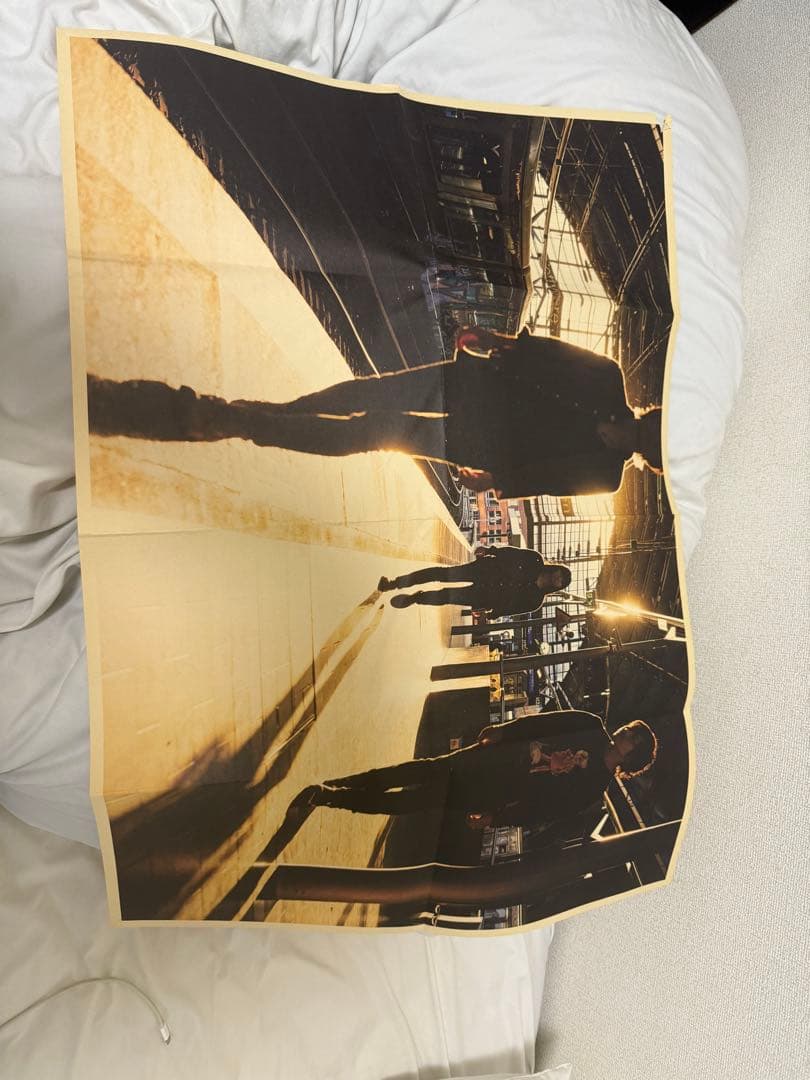 凛として時雨、TK from 凛として時雨 まとめ　ポスター付き　値下げ交渉有り