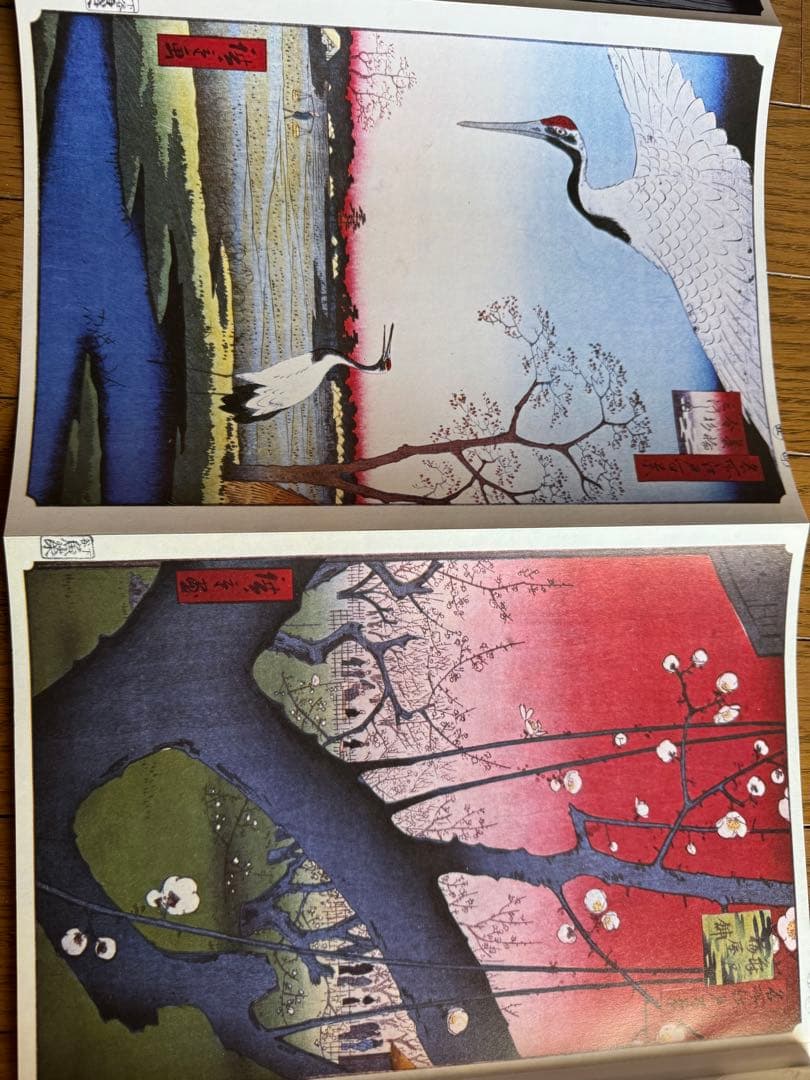 「今、浮世絵が面白い」シリーズ全６冊