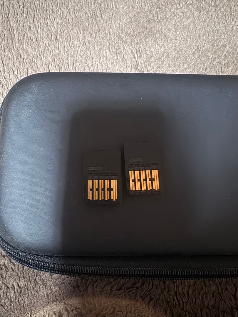 Ark ブロックArkNintendo Switch ソフト 2本セット