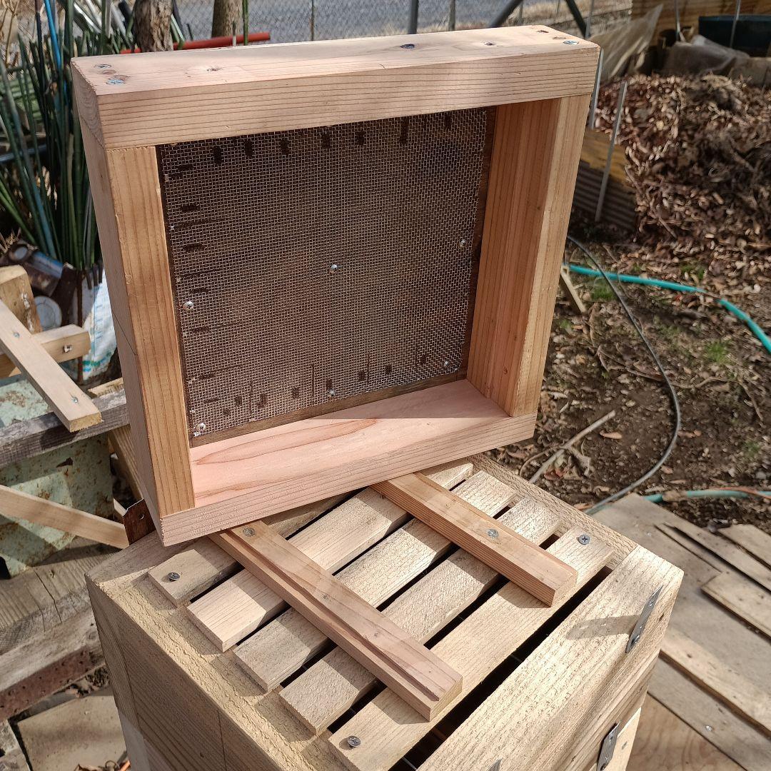 日本蜜蜂巣箱 1式