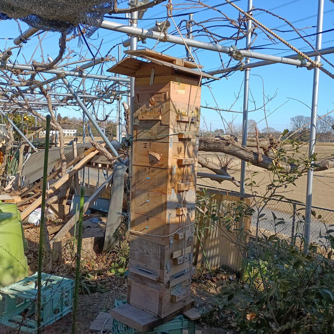 日本蜜蜂巣箱 1式