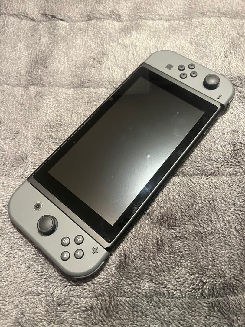 Nintendo Switch 本体 グレー ACアダプター、大人の脳トレ付き