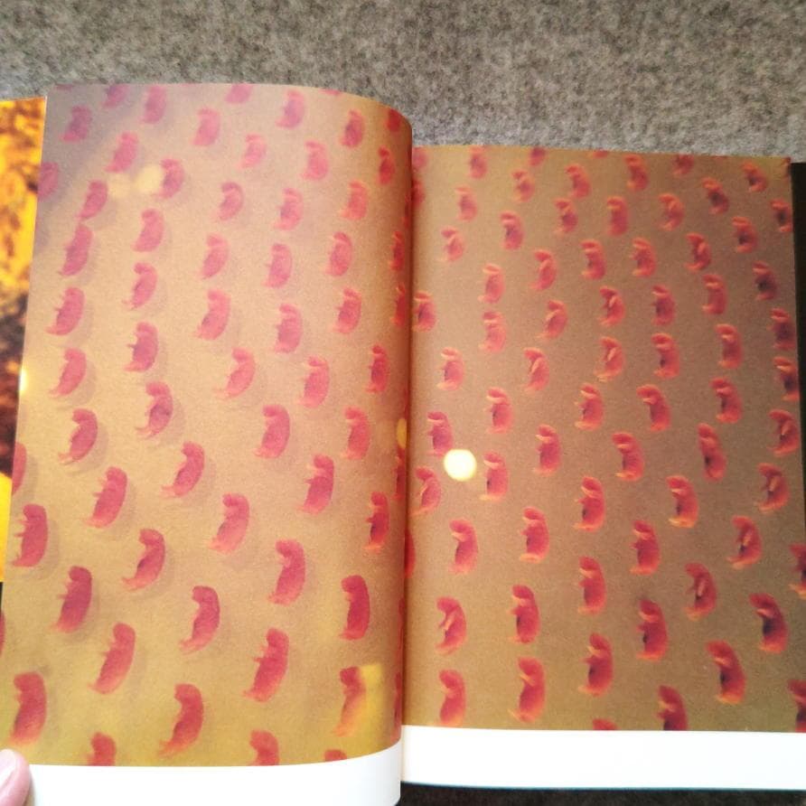 ◆古本◆蜷川実花サイン入り◆ノワール◆女性写真家、映画監督◆蜷川幸雄の娘