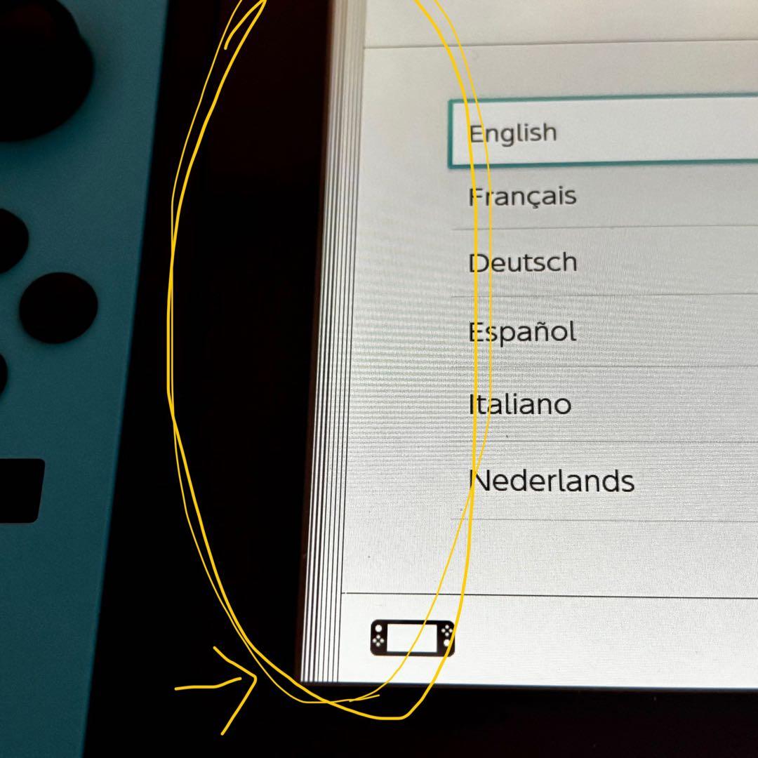 Nintendo Switch 本体 2019年購入 液晶不良あり ジャンク