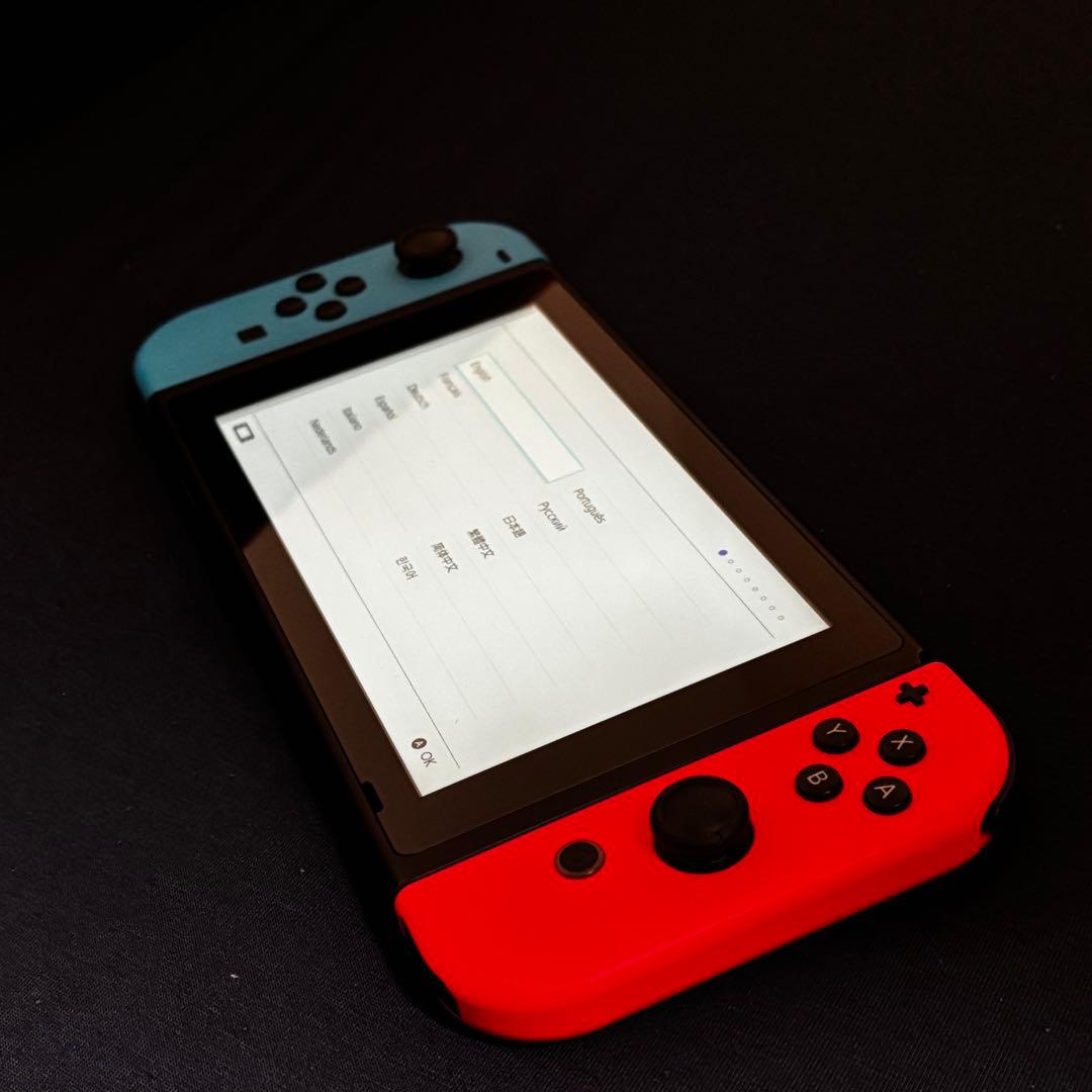 Nintendo Switch 本体 2019年購入 液晶不良あり ジャンク