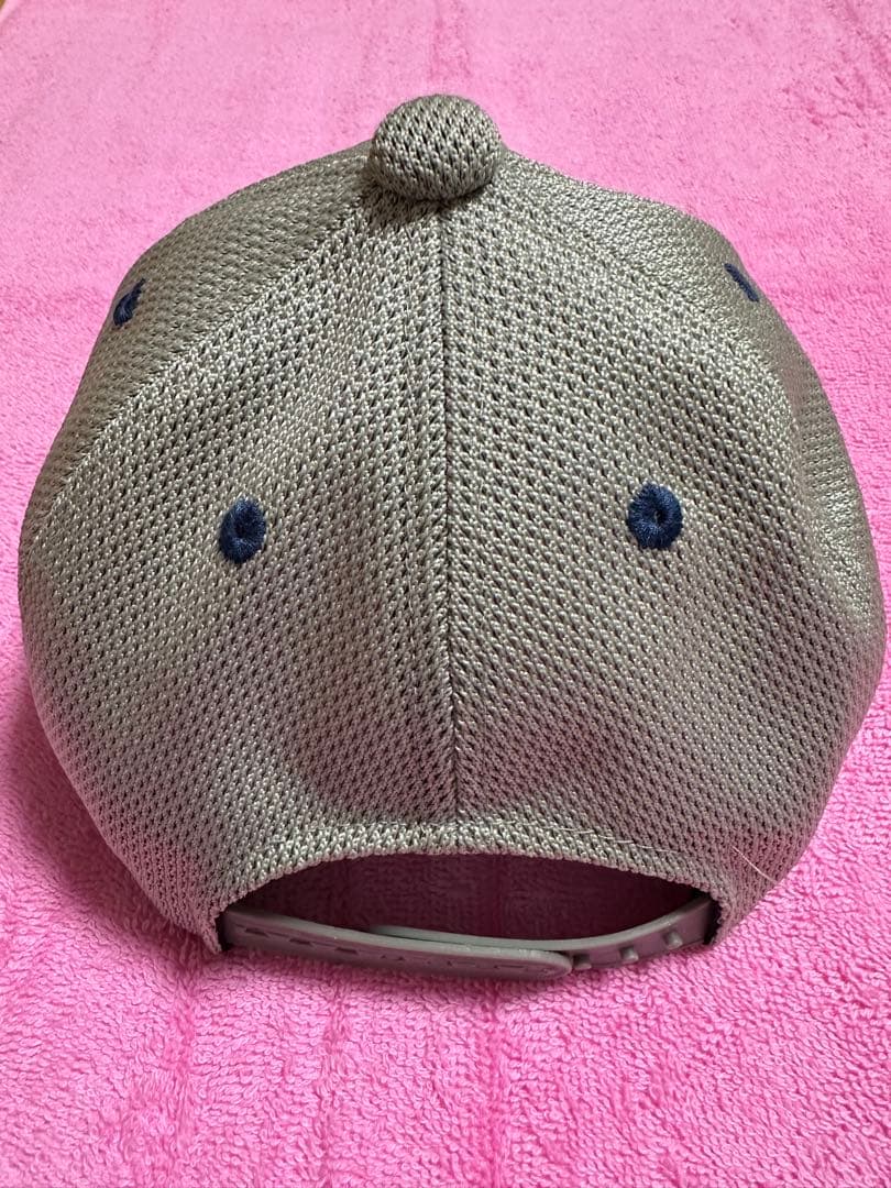 Richard 盛岡大附属　高校野球　メッシュキャップ 練習用