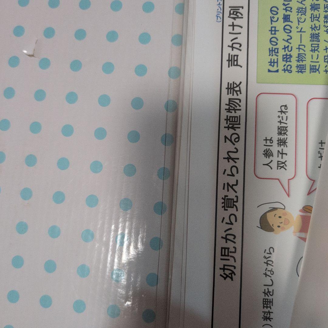 親勉　楽勉　教育用ポスターセット　ワークシート　 知育