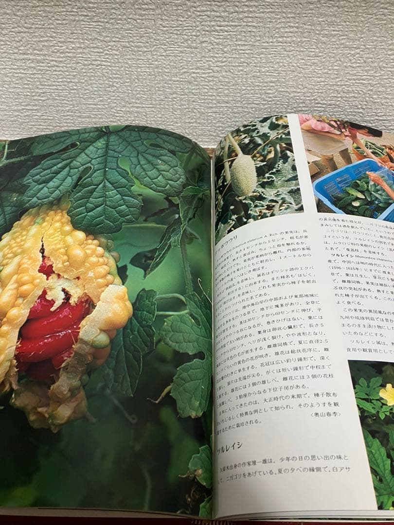 アサヒ百科 世界の植物 全12巻セット 植物図鑑
