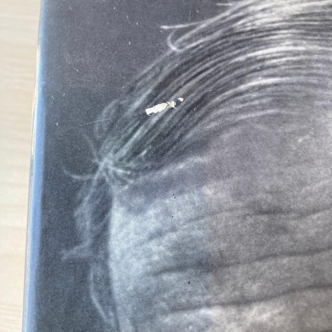 MIRÓ by Jacques Dupin