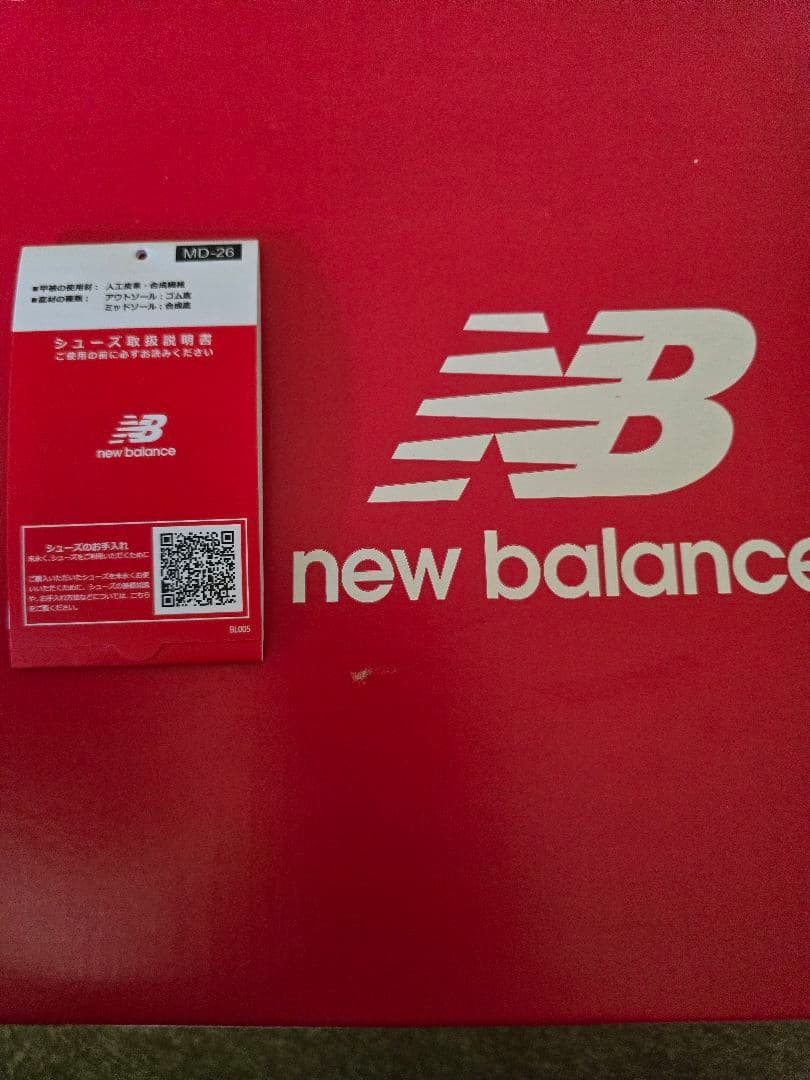 ニューバランス　HESI LOW V2 29cm