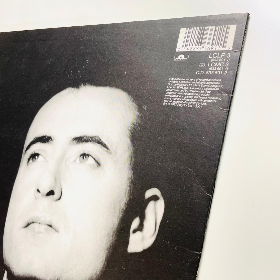 洋楽 Lloyd Cole And The Commotions Mainstream