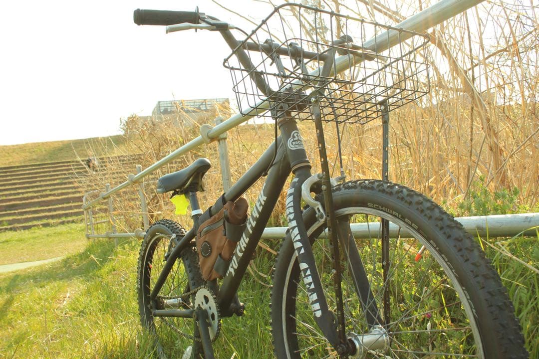 SE BIKES SO CAL FLYER 24 ソーカルフライヤー BMX