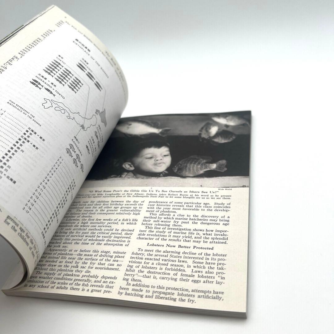 サカナクション 魚図鑑（2CD+Blu-ray+魚図鑑+チケットホルダー）