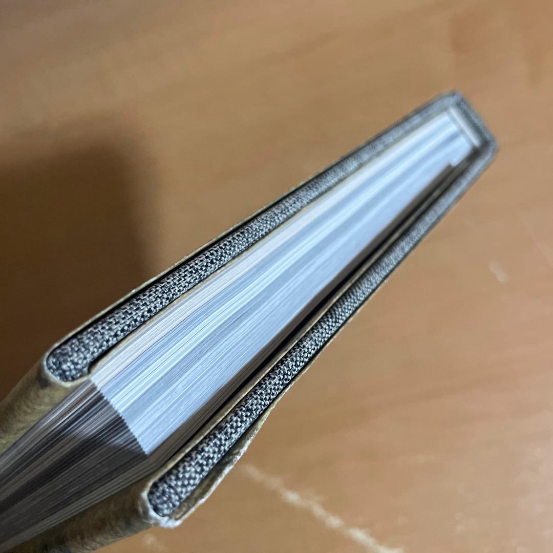 The Himalayas 石川直樹