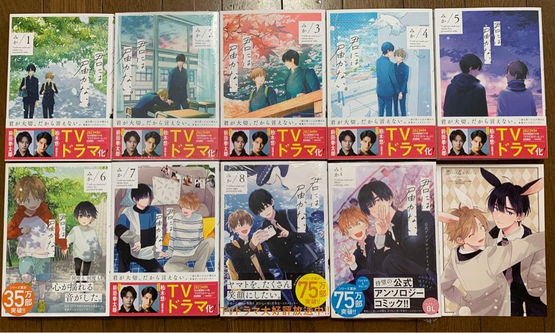 商業BL まとめ売り