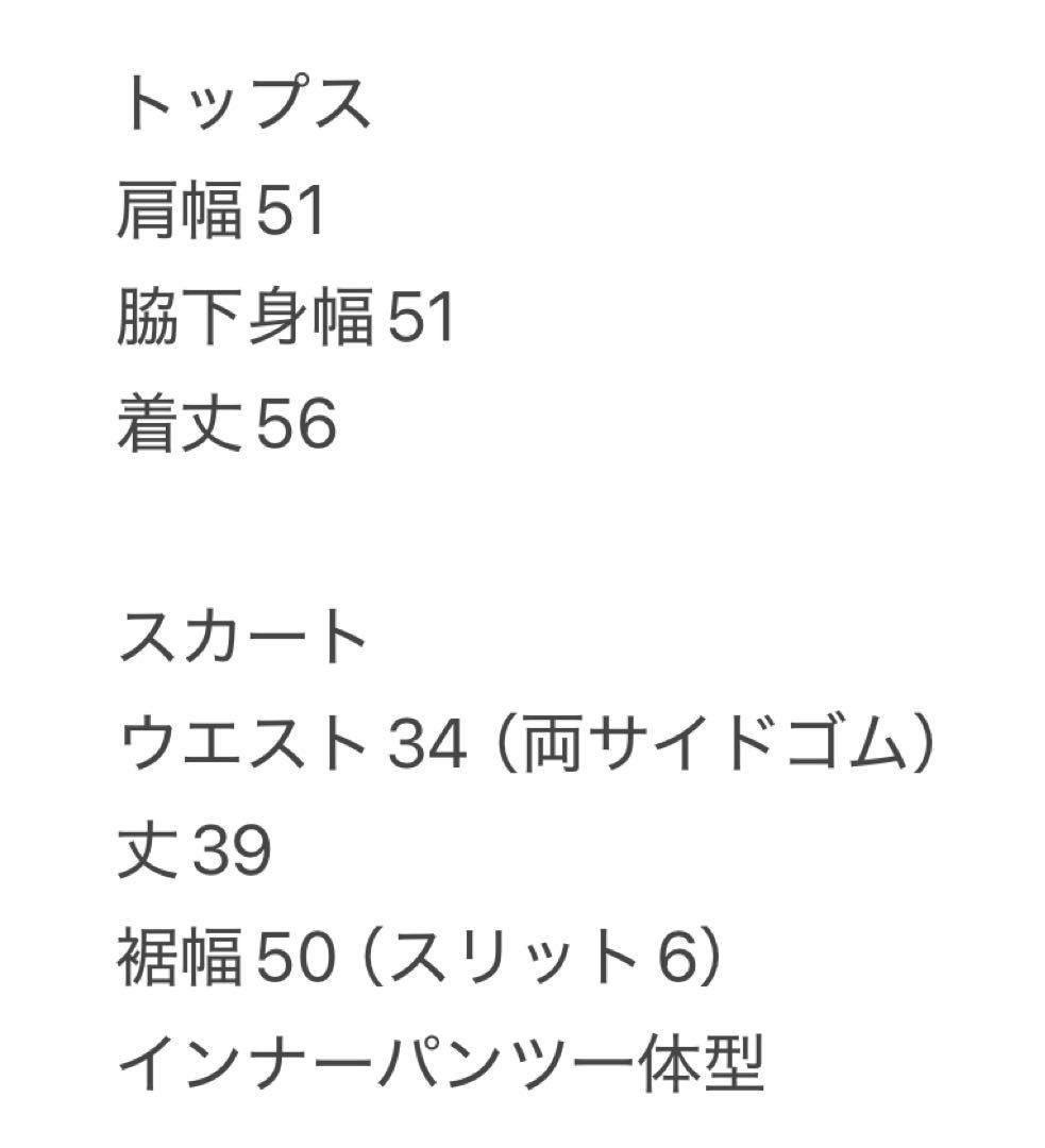 長袖ポロシャツ　保温素材　中綿　スカート　セットアップ　秋冬　サイズ36 新品