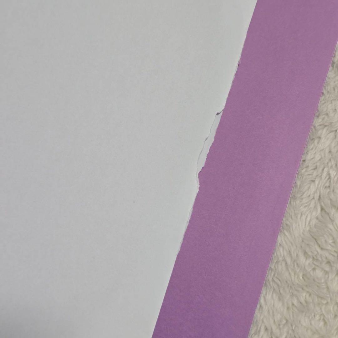 【未使用】ソイングク 完全受注生産 限定盤 アナログレコード