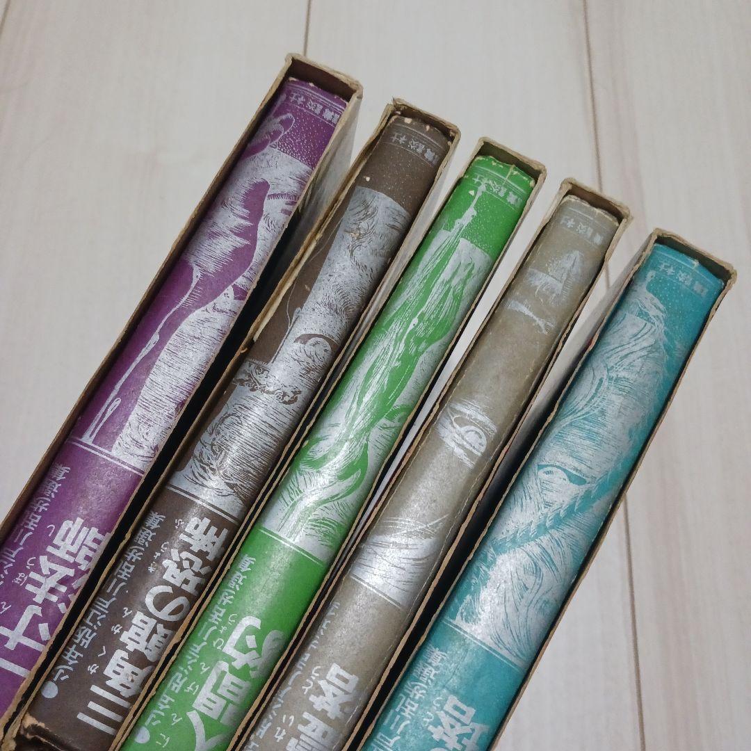 少年版江戸川乱歩選集　５巻セット