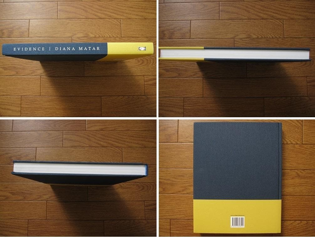 Evidence　Diana Martar　ダイアナ・マーター