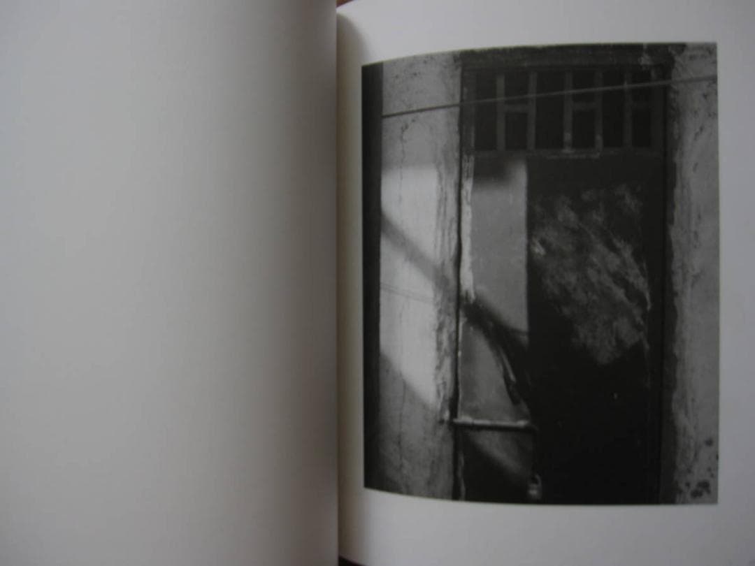 Evidence　Diana Martar　ダイアナ・マーター