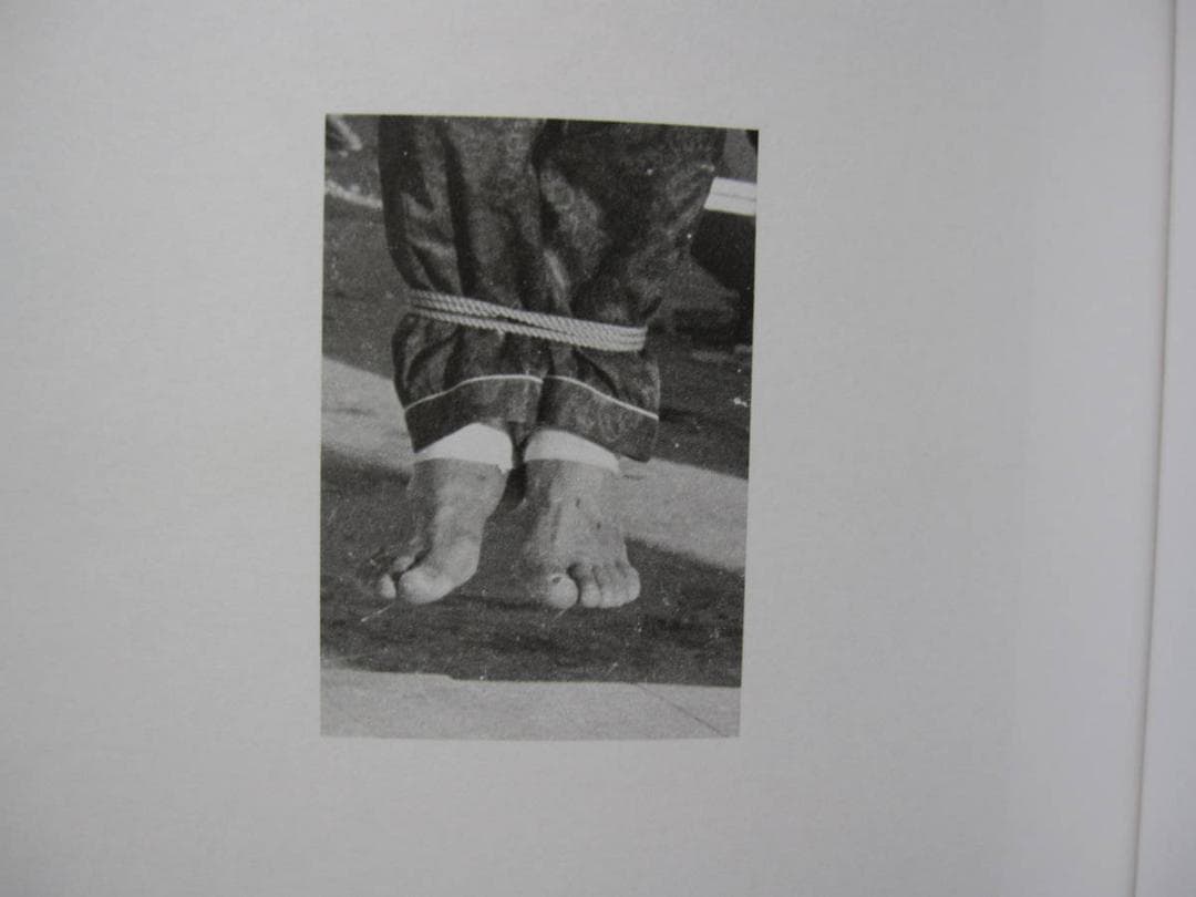 Evidence　Diana Martar　ダイアナ・マーター