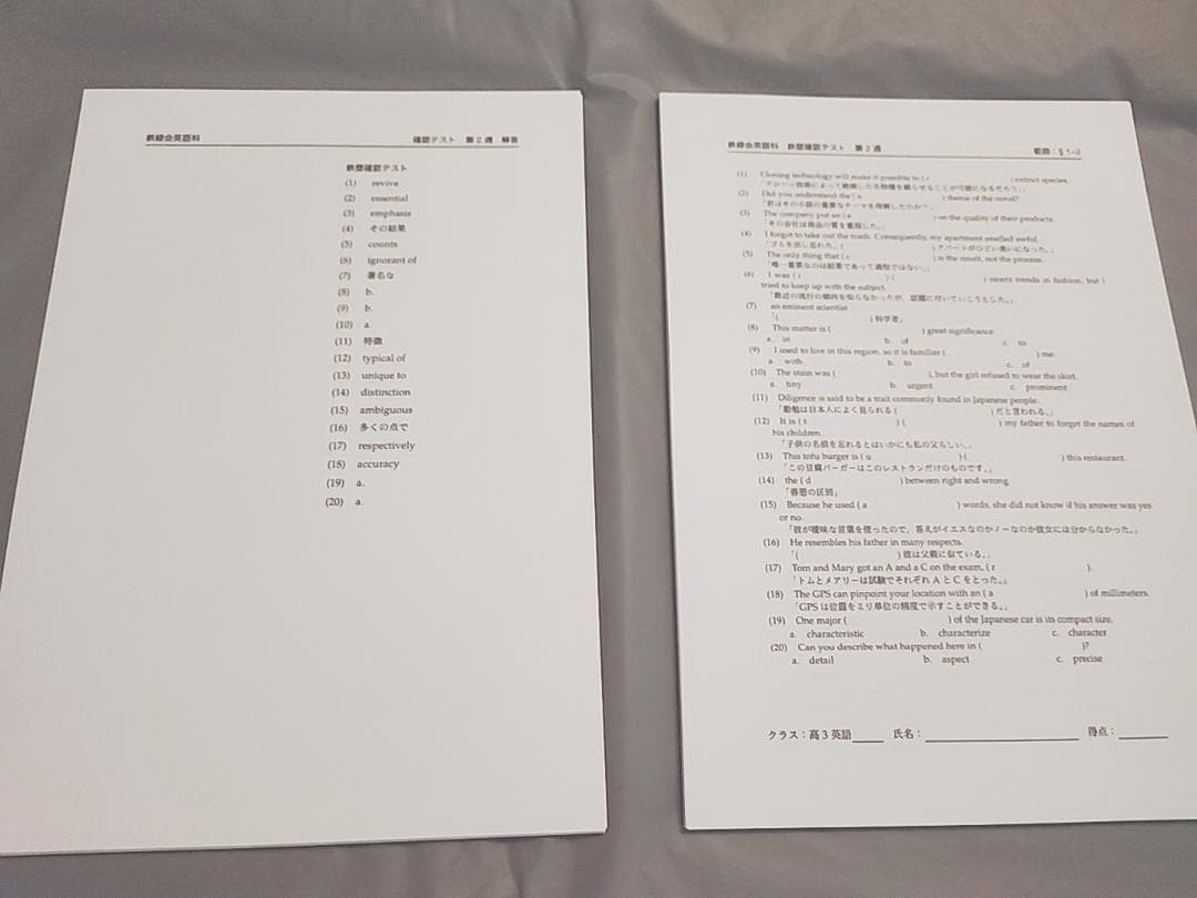 鉄緑会　23最新　高3英語　鉄壁確認テスト　通期フルセット　英単語　河合塾　駿台