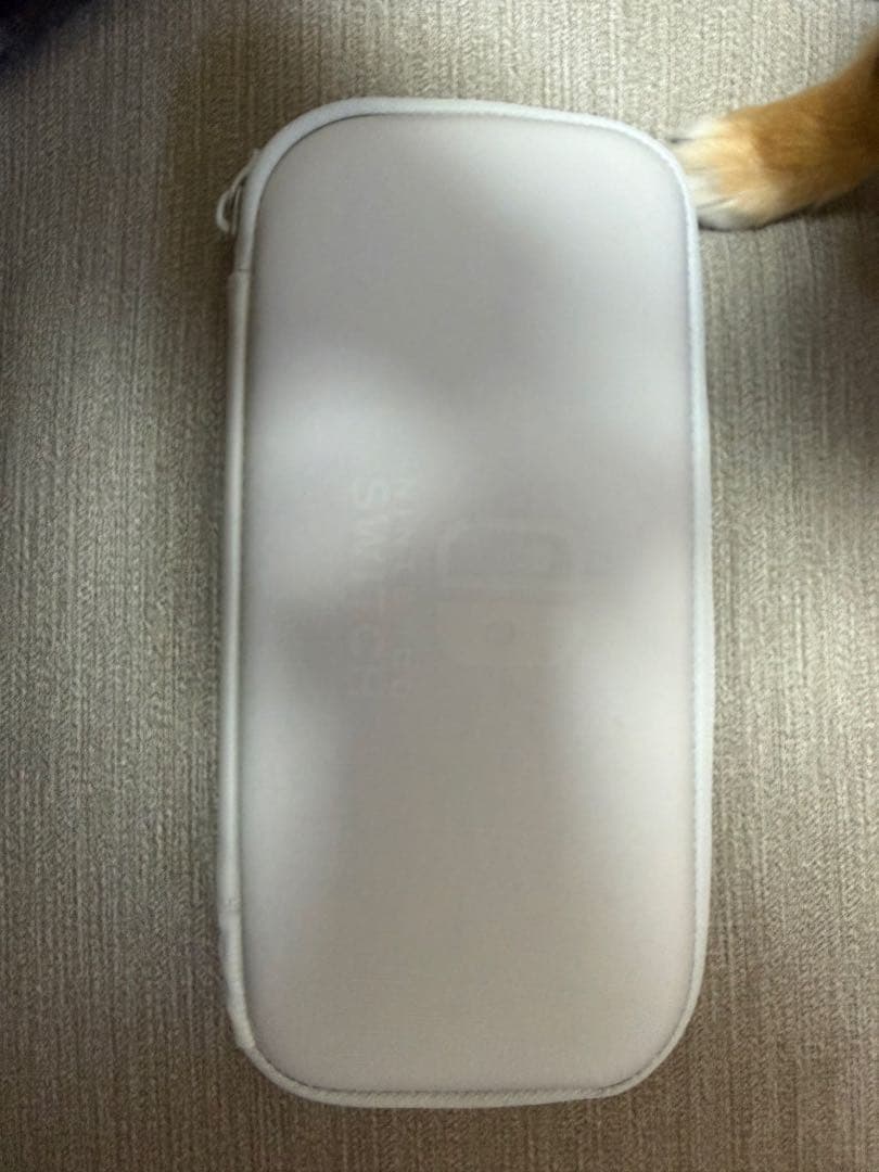 Nintendo Switch Lite ターコイズ (箱、充電器、ケース付き)