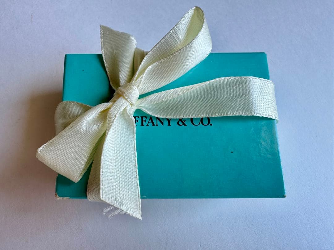 新品⭐︎TIFFANY＆CO. ティファニー ゴルフティー SILVER 925