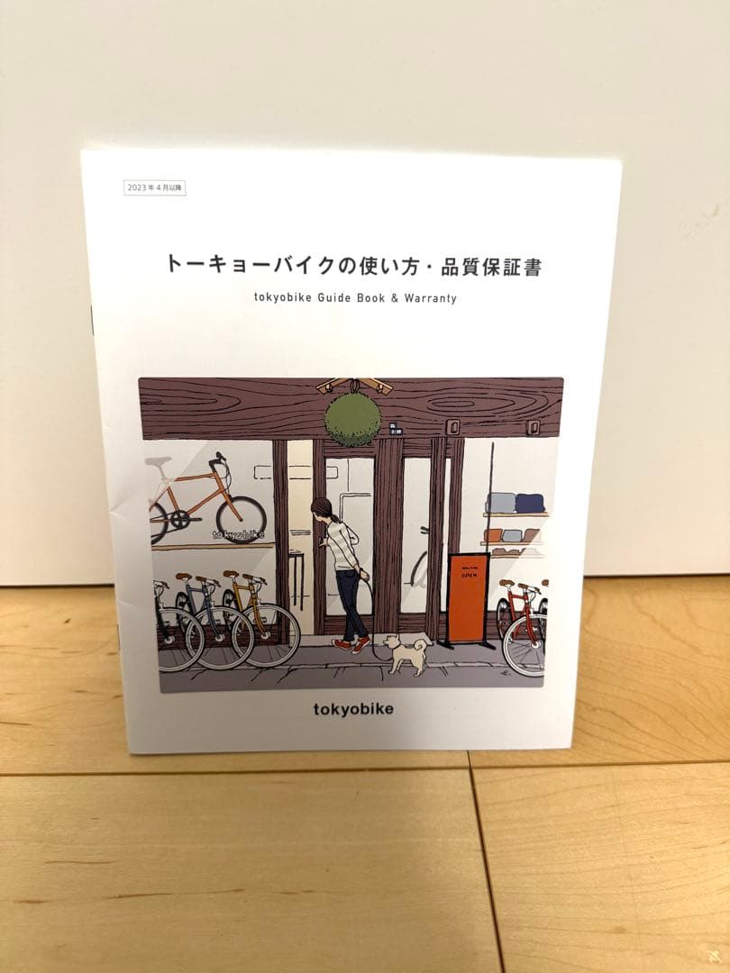 TOKYO BIKE Jr. Step 20インチ　アクア（水色）　泥除け付