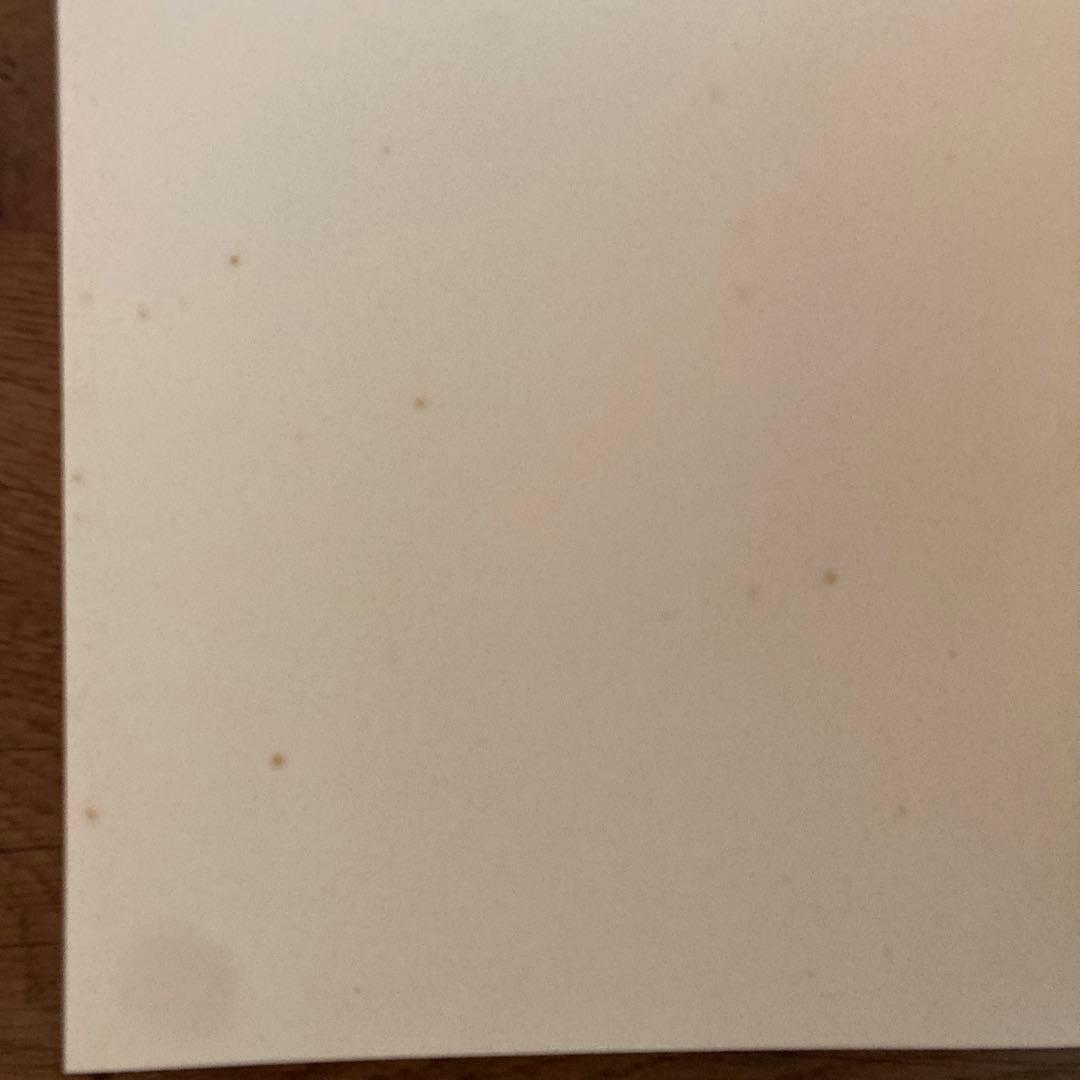 エリザベス・ペイトン 画集 Elizabeth Peyton