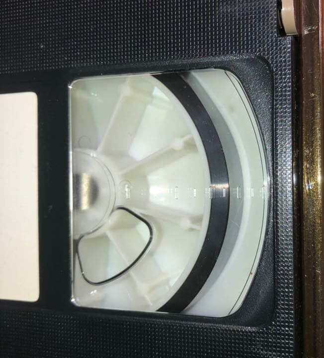 【入手不可】JUSTY NASTY  ビデオ  TOO BAD   1988年