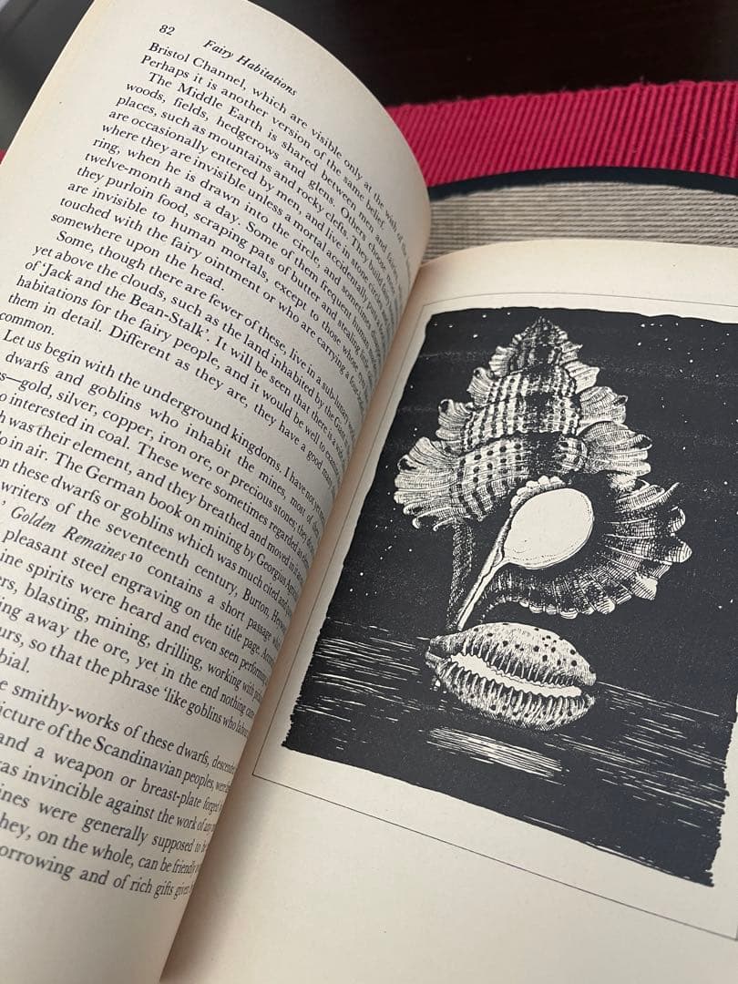 The Vanishing People: Fairy Lore and…