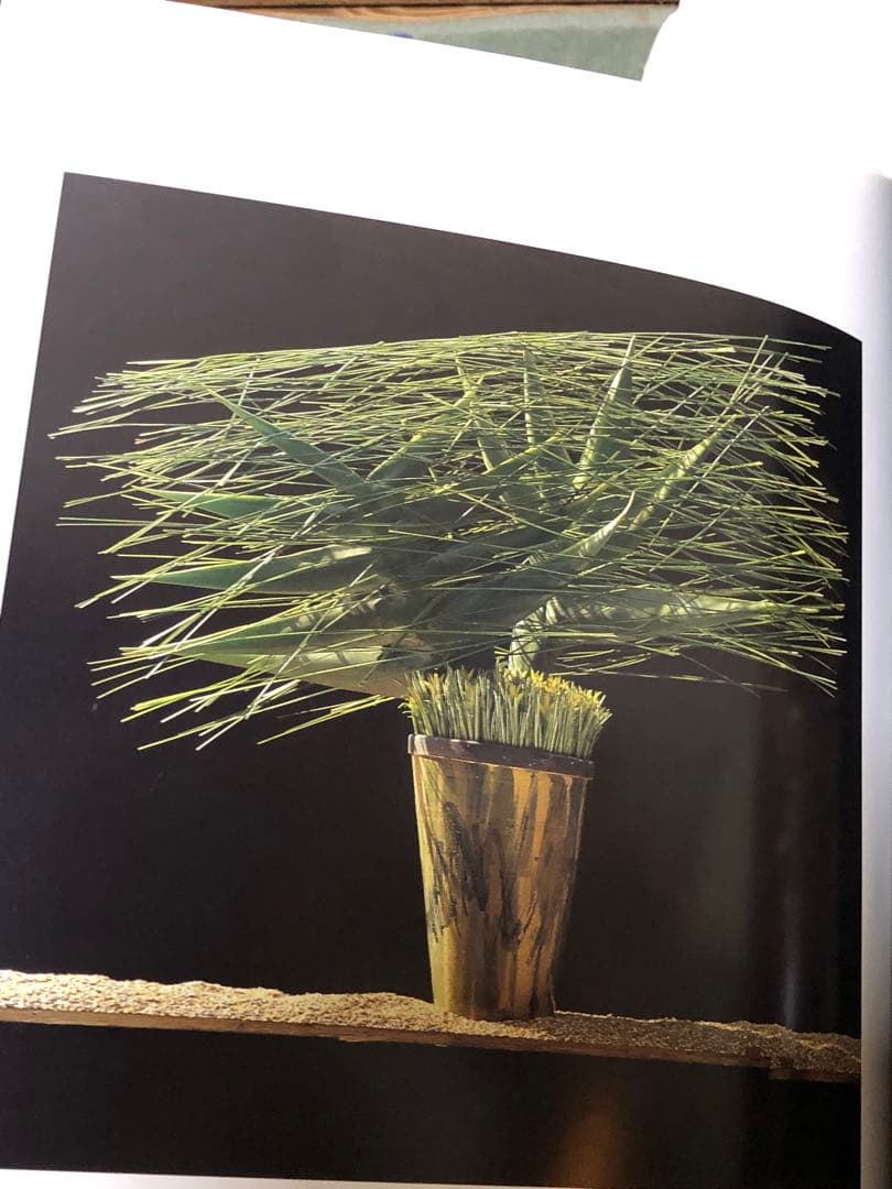 DANIEL OST ダニエル・オスト　フラワーアート豪華写真集　美しい写真満載