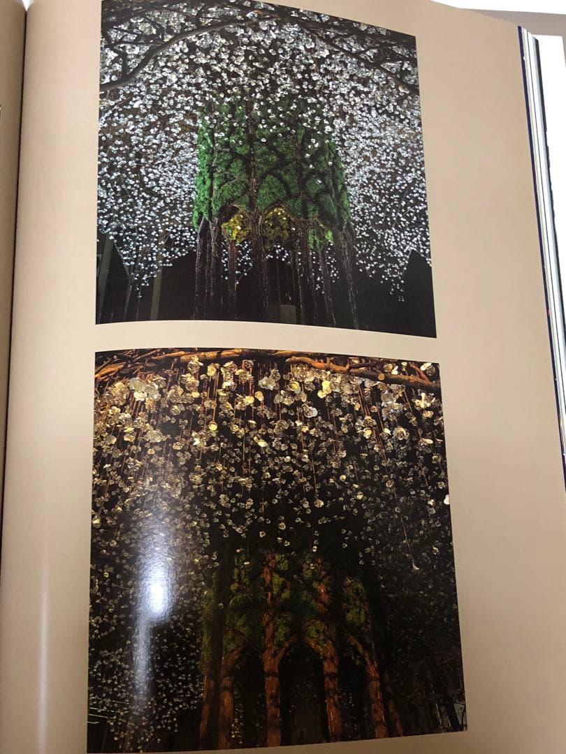 DANIEL OST ダニエル・オスト　フラワーアート豪華写真集　美しい写真満載