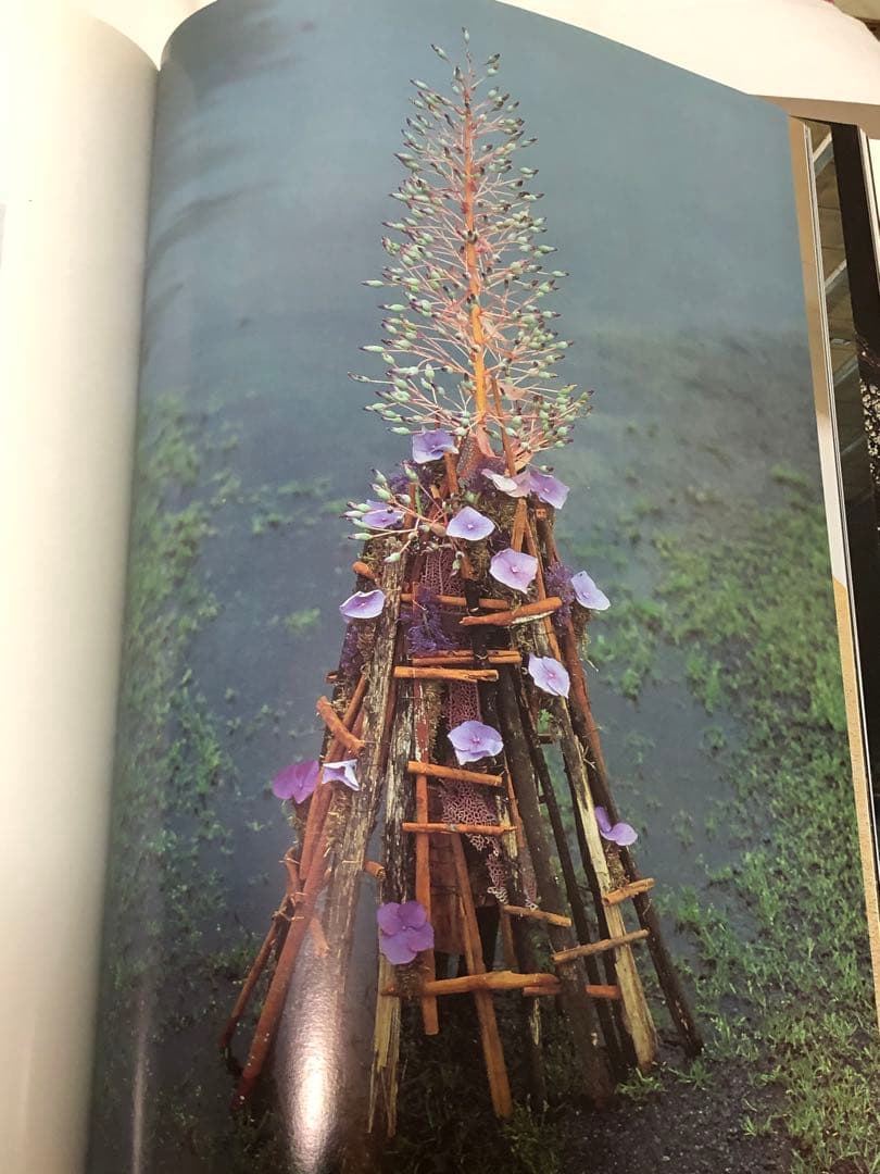 DANIEL OST ダニエル・オスト　フラワーアート豪華写真集　美しい写真満載