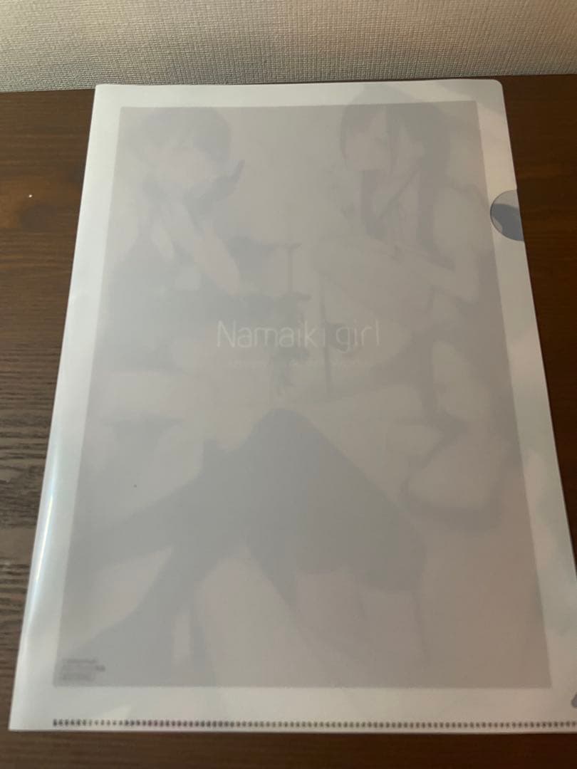 天三月　画集　Namaiki girl クリアファイル付