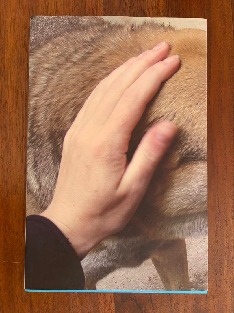 シャルロット デュマ　Charlotte Dumas