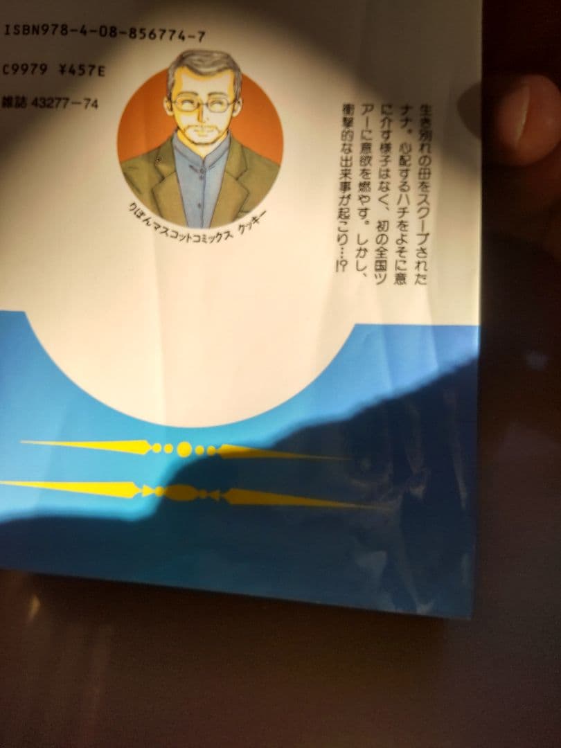 NANA、Paradise Kiss他 矢沢あい全巻セット 30冊 バラ売り不可