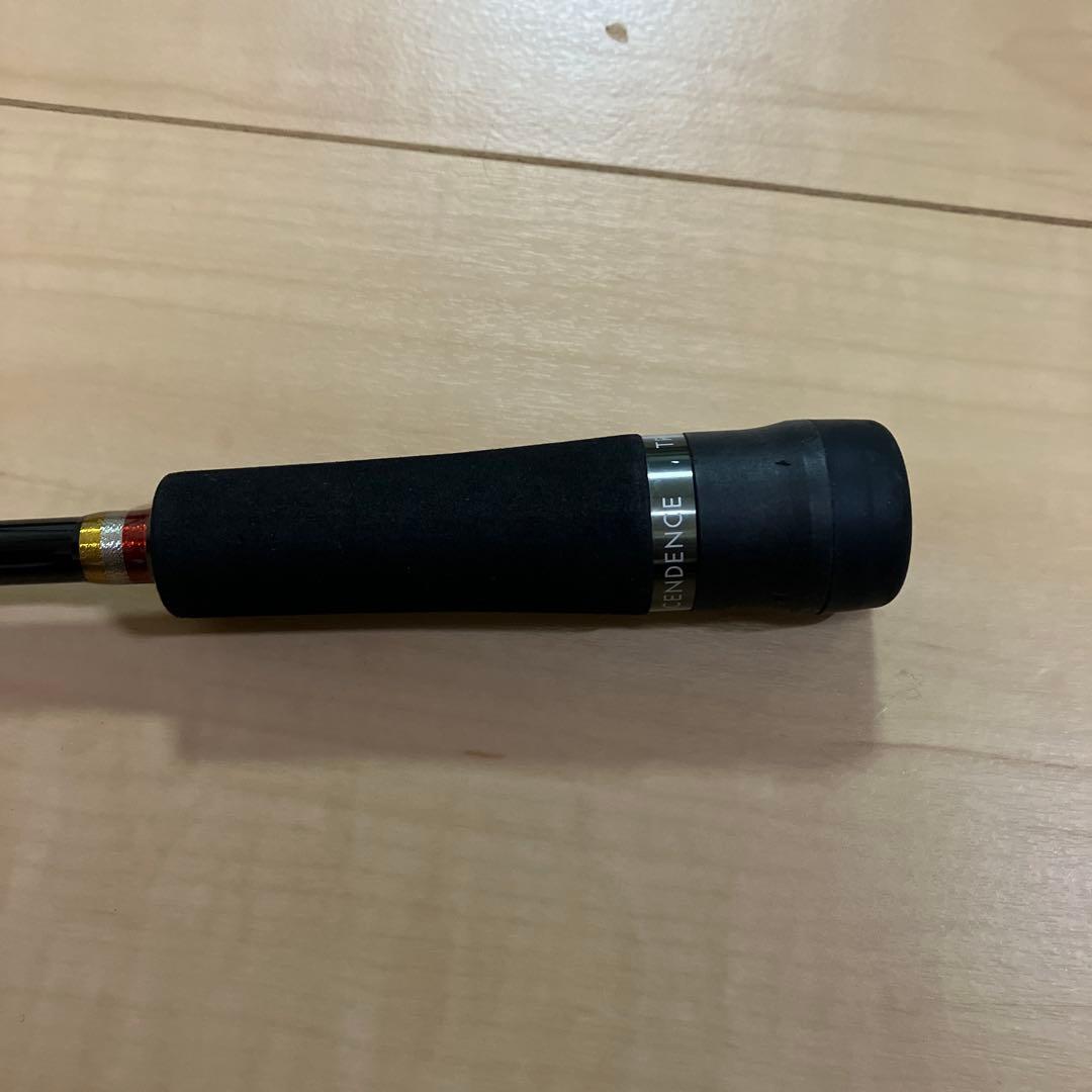 TRANSCENDENCE Botia ルアーロッド 専用ケース付き