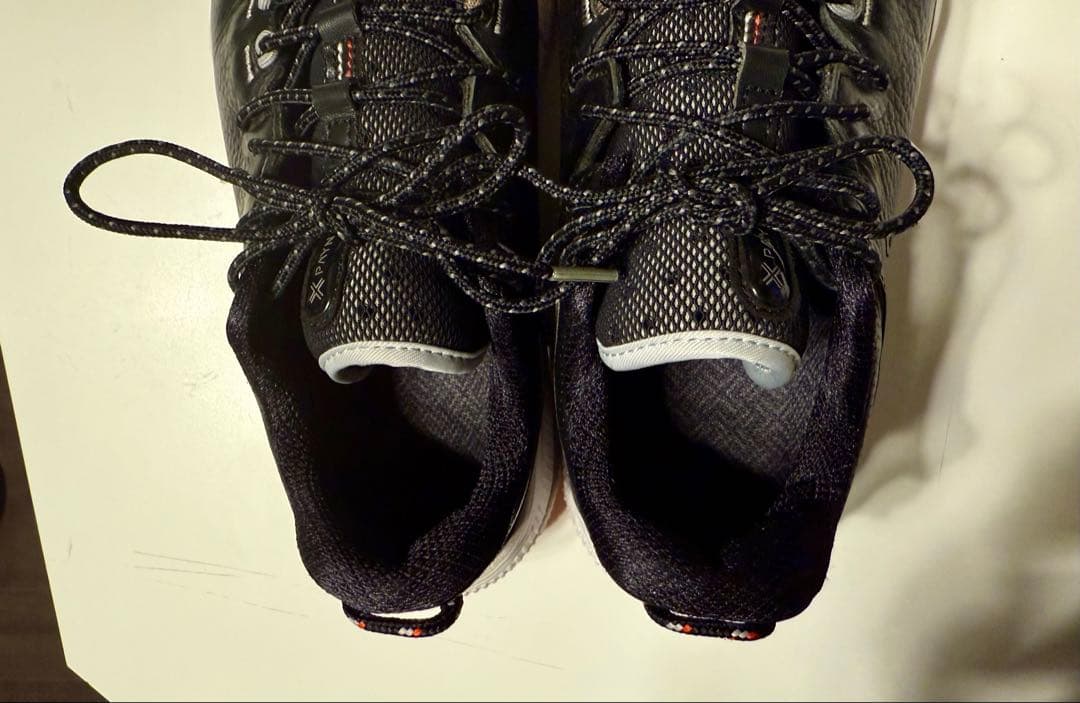 ☆ペインター X 002 LE Black 25.0 超美品！