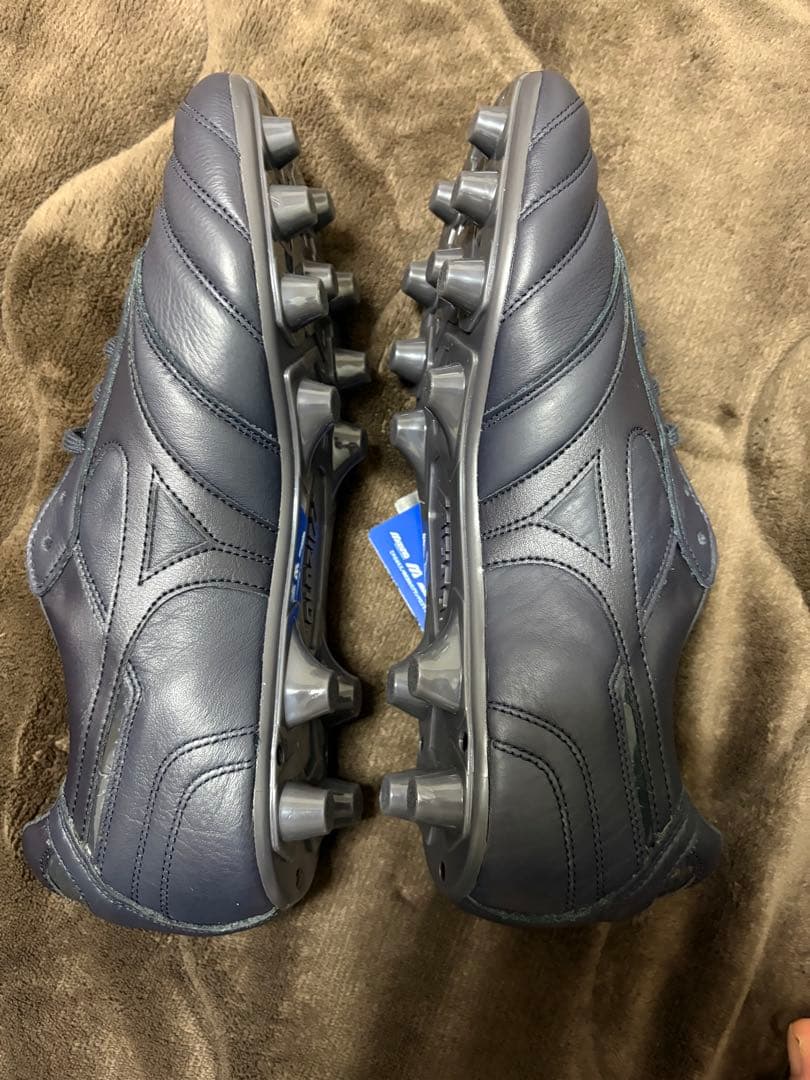 盆*栽様 モレリア2Japan ltd 27.0