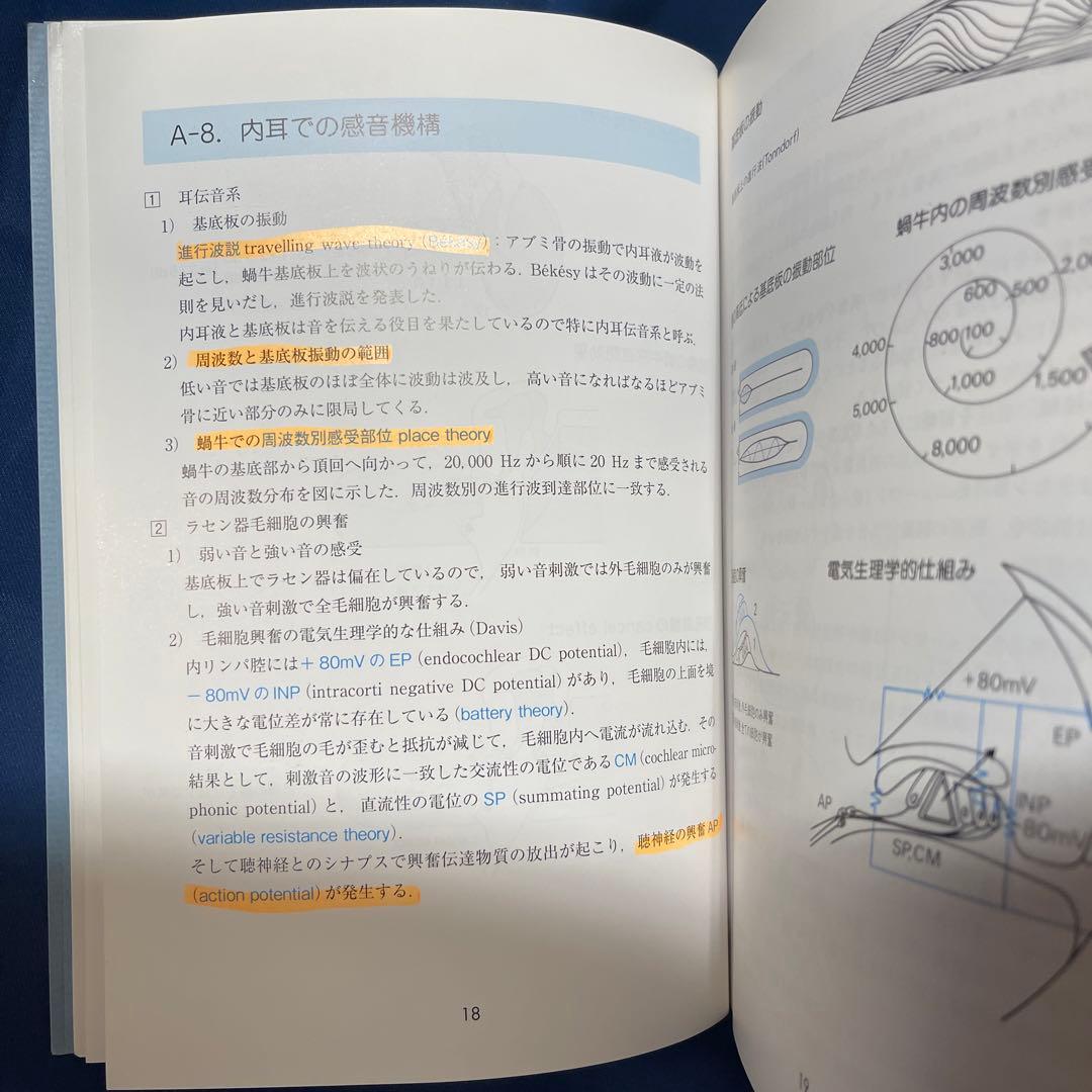 R⑤ イラスト耳鼻咽喉科 第3版 森満保 文光堂